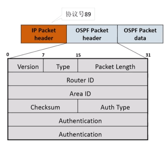 详解OSPF：从基础到高级特性再到深入研究